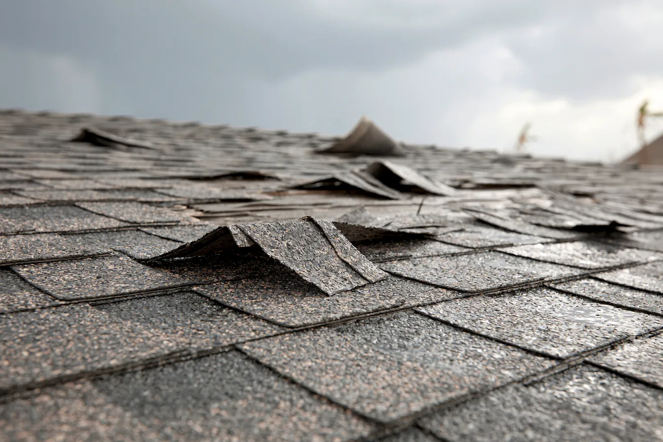 Lifted and curled shingle tabs across a weathered asphalt roof